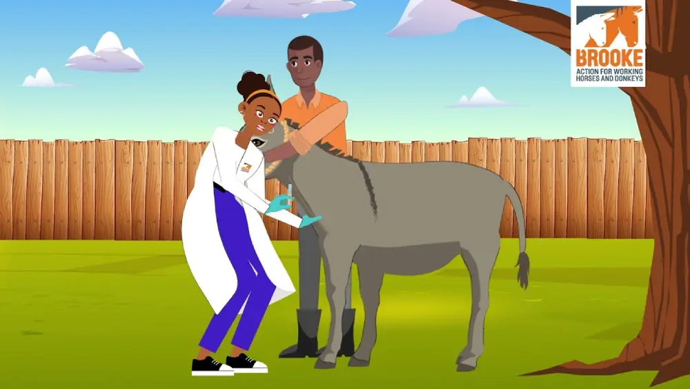 Intravenous Injection Animation