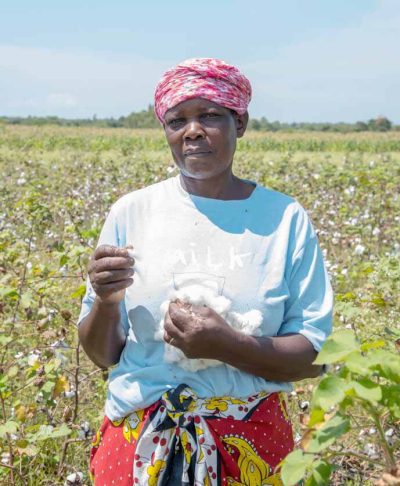 2Mrs. Consolata Anyango of Ndigwa, South Uyoma harvesting in her cotton farm.